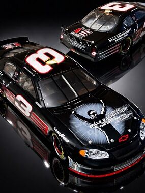 Dale Earnhardt #3 Foundation Monte Carlo 1:24 Action 2003 Diecast Car Ltd Ed.